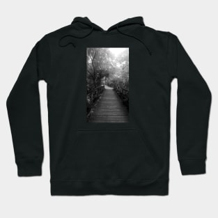 Florida Nature Trail Hoodie